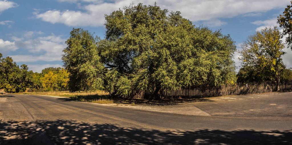 Cypress Fairway Village ウィンバリー エクステリア 写真